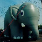Elephant balloons - giant 20ft. tall elephant shape cold-air advertising inflatables available for sale and rent.